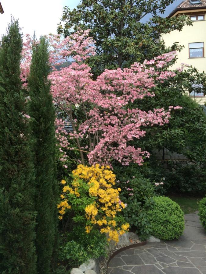 Pension Hauenstein ลากุนโด ภายนอก รูปภาพ