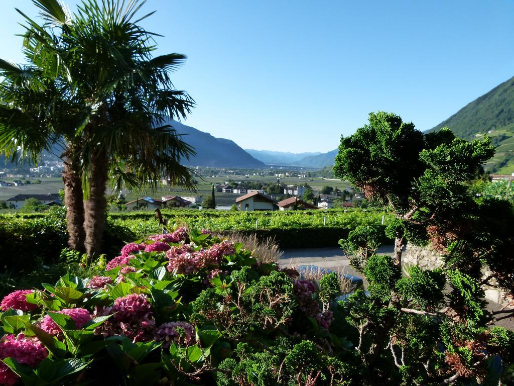 Pension Hauenstein ลากุนโด ภายนอก รูปภาพ